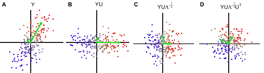 Figure 1: Intuition for data whitening transformation. A) Original data, B) Data rotated along principal components, C) Data rotated and scaled, D) Data rotated, scaled and rotated back to original axes. Green arrows indicate principal axes and lengths indicate eigen-values.